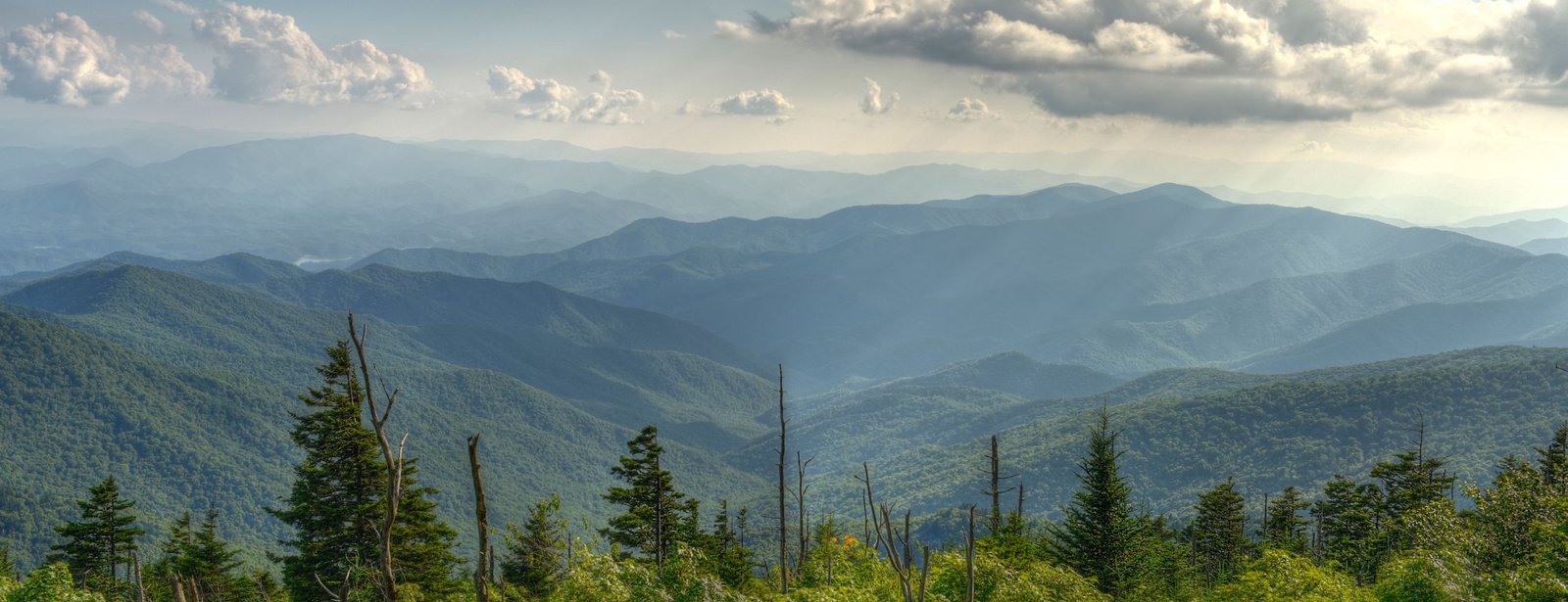 All in one general store